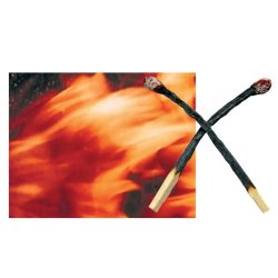 Konsulent besigtigelse af aktuel facade- eller v�gbehandlingsopgave - silikatprodukter