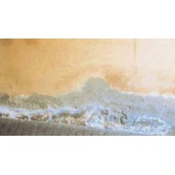 Konsulent besigtigelse af aktuel facade- eller v�gbehandlingsopgave - silikatprodukter