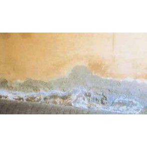 Konsulent besigtigelse af aktuel facade- eller v�gbehandlingsopgave - silikatprodukter