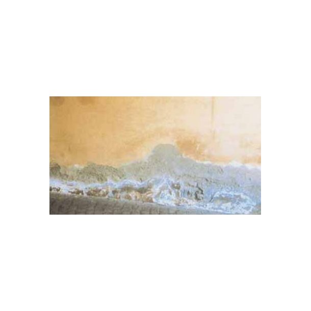 Konsulent besigtigelse af aktuel facade- eller v�gbehandlingsopgave - silikatprodukter