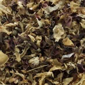 Islandsk mos - Irsk tang - carragheen - 1 kg